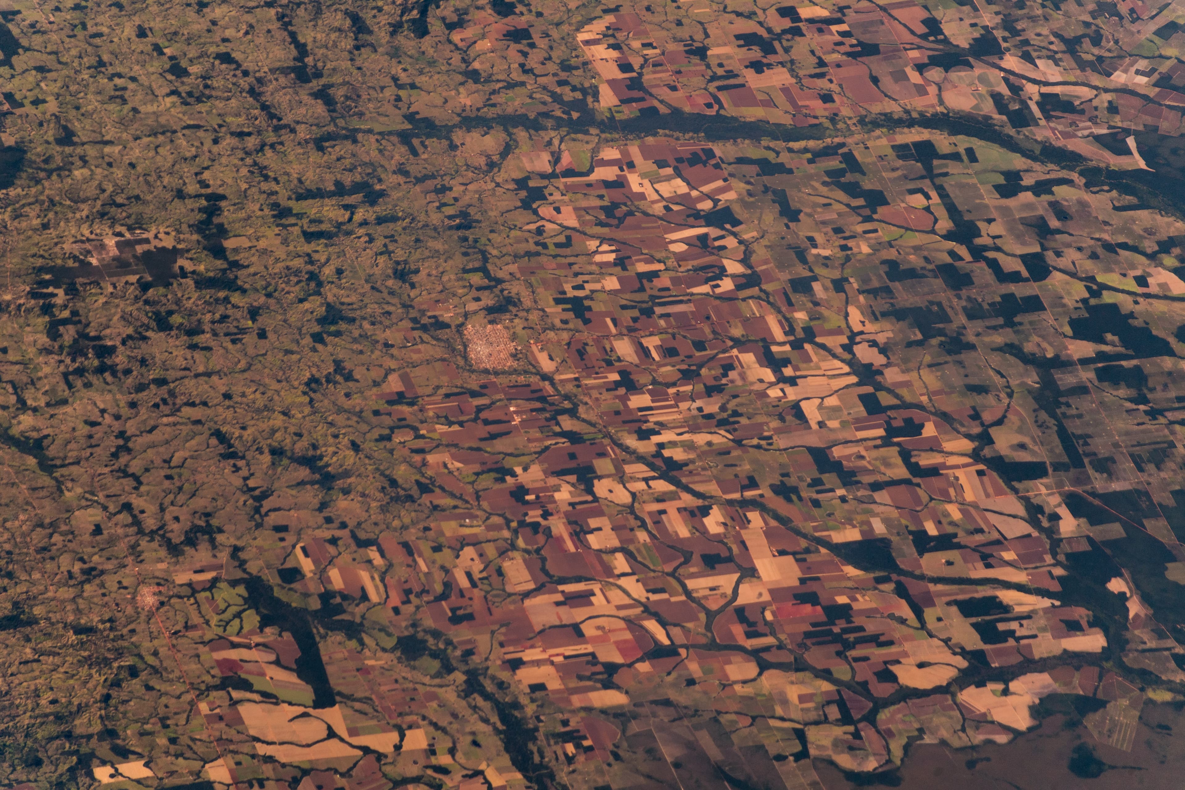 Satellite view of dense Amazon rainforest cut by winding rivers and patches of cleared land