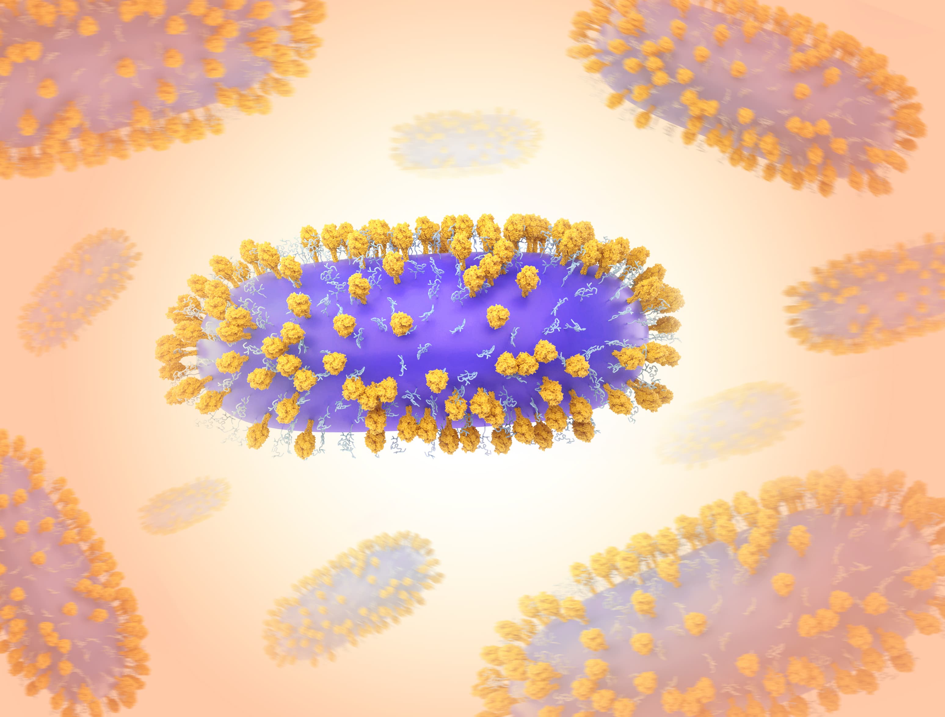Illustrated rendering of respiratory syncytial virus.