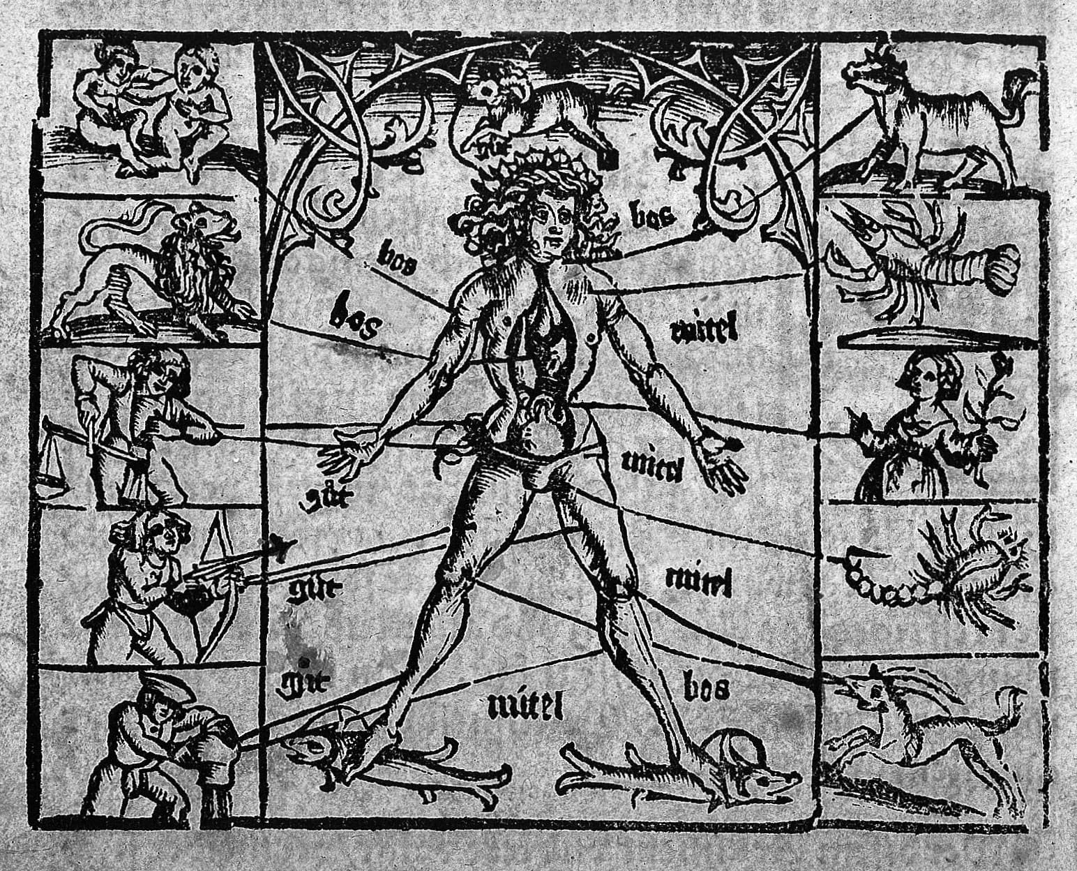 A 1529 woodcut of the astrological man, showing zodiac signs mapped to human body parts, illustrating the Renaissance belief that celestial influence governed health.
